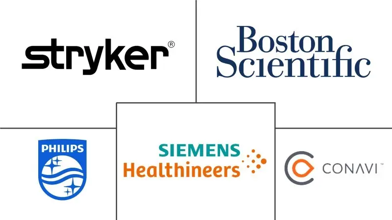 心内超声心动图市场规模和份额