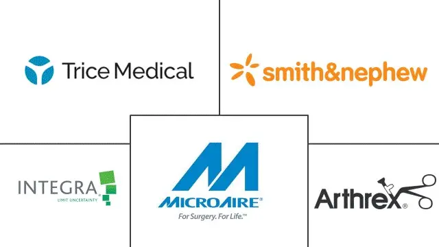 腕管释放系统市场规模和份额