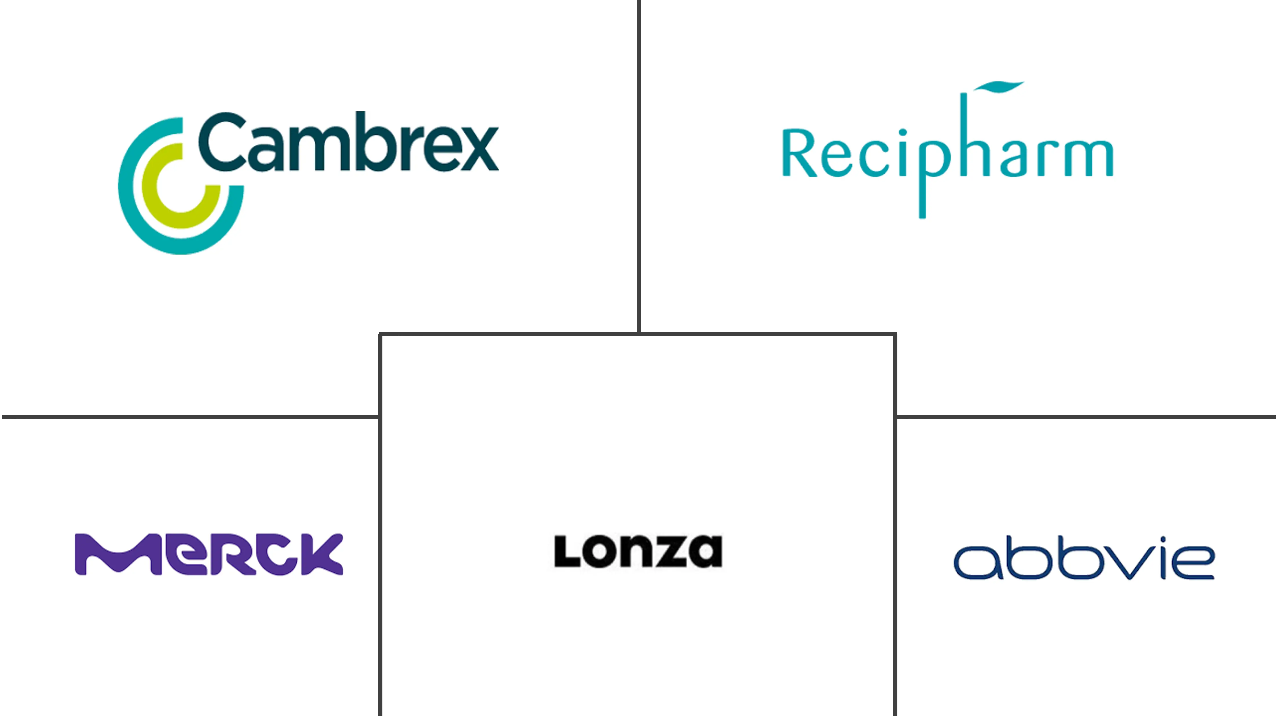 抗体药物偶联物合同制造市场规模
