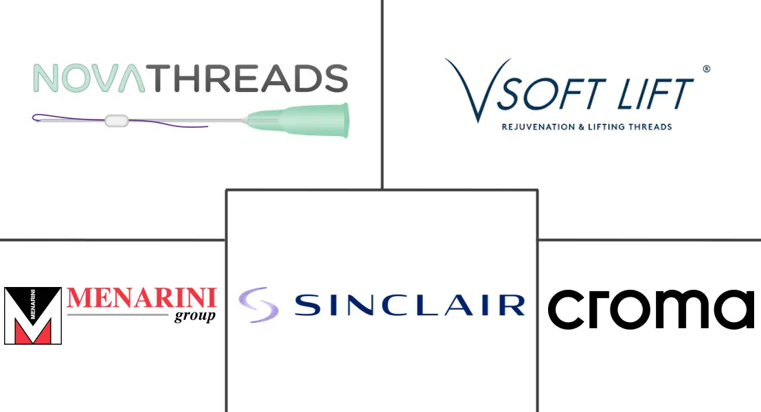 美容线市场规模和份额