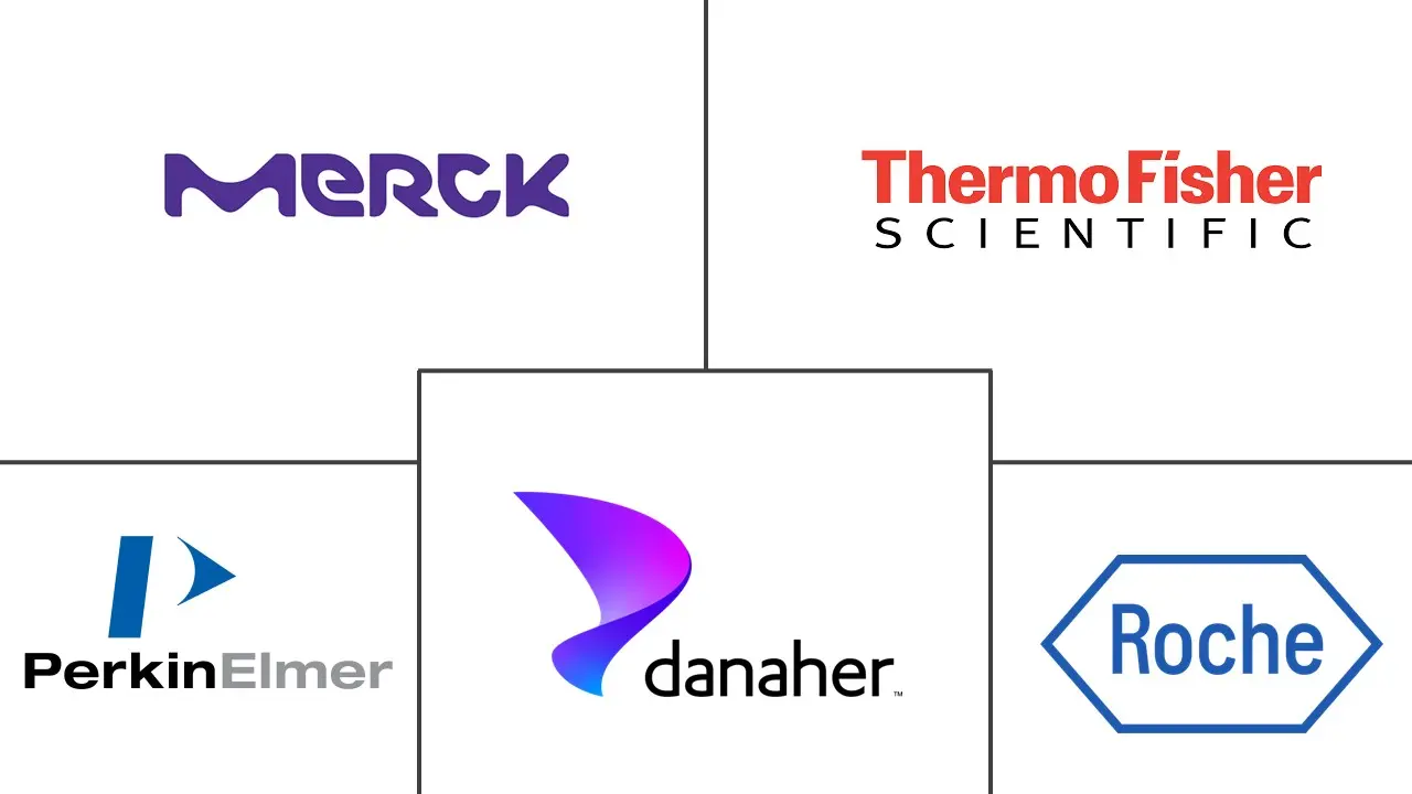蛋白质标签市场规模和份额