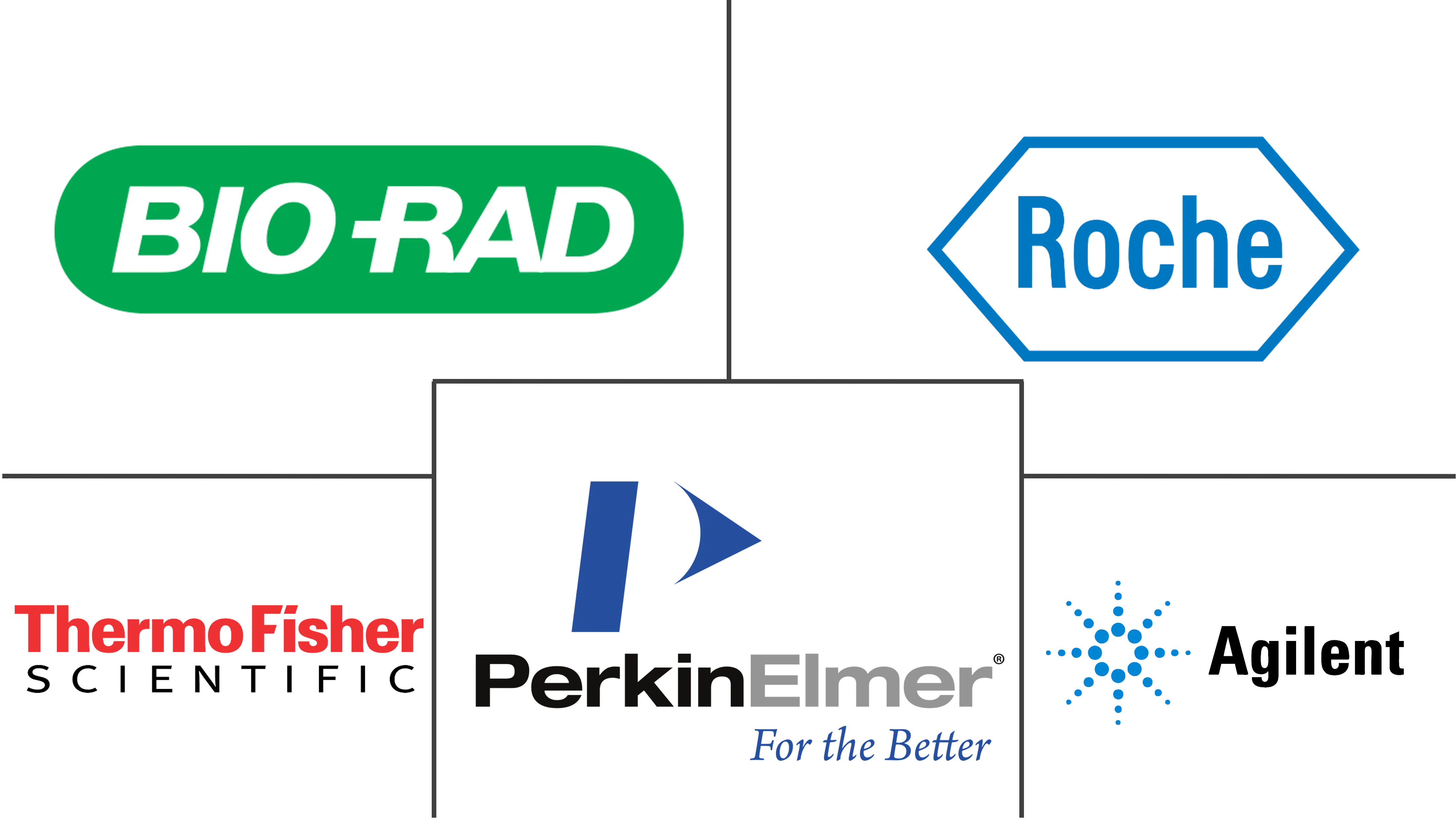 分子细胞遗传学市场规模和份额