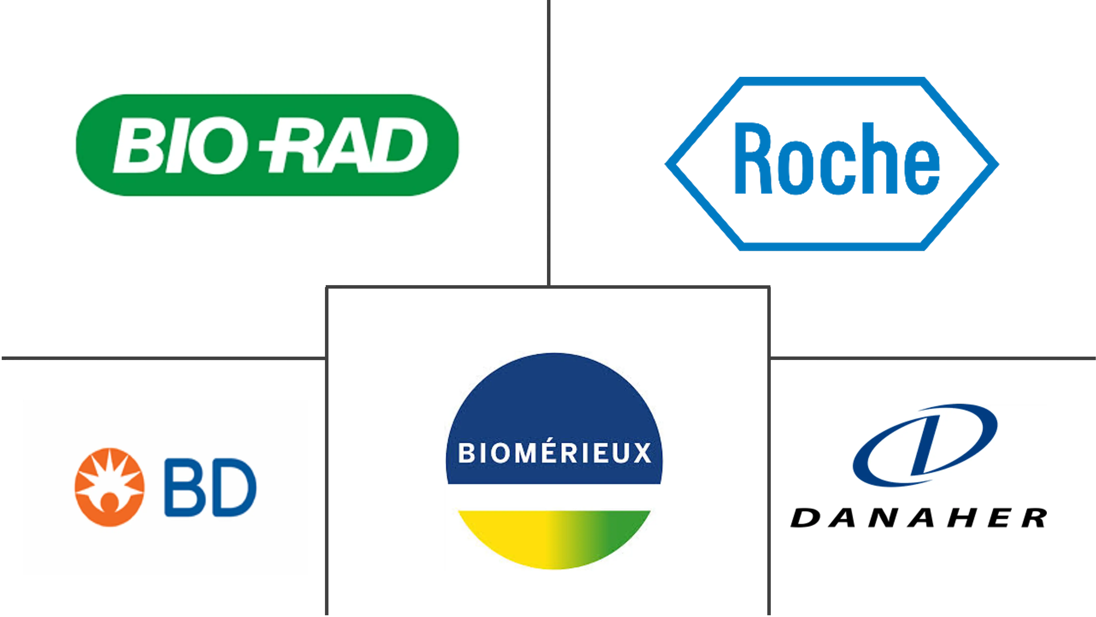 巴西体外诊断市场规模和份额