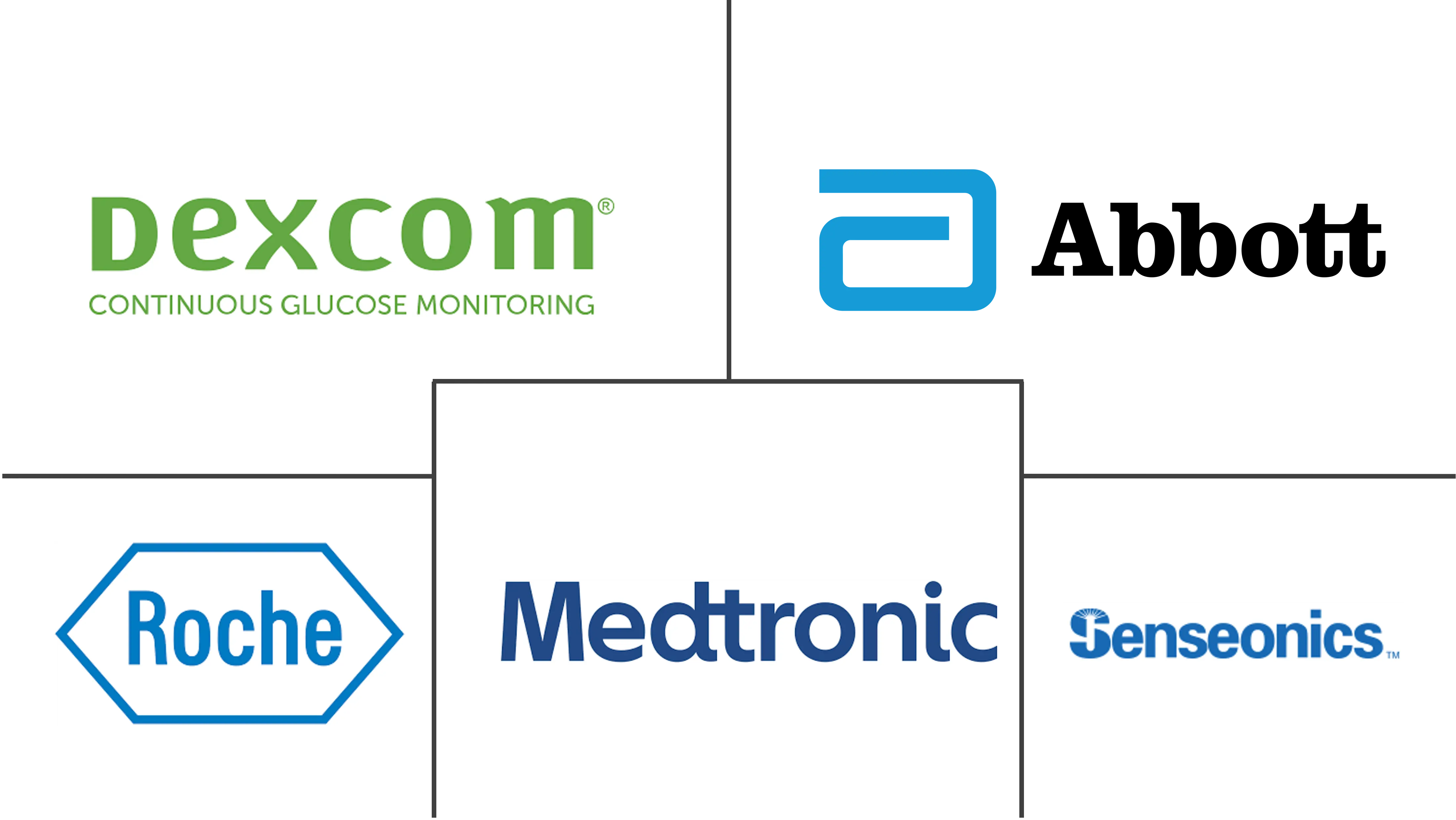 欧洲连续血糖监测市场规模和份额分析