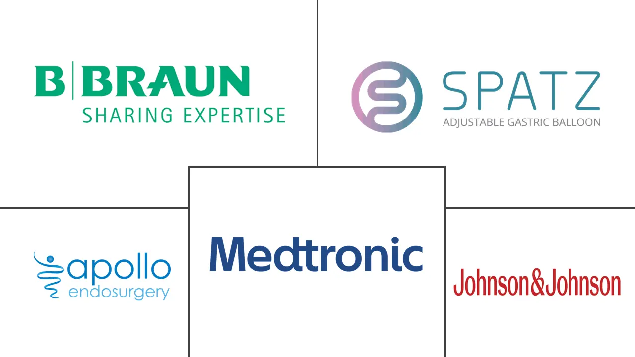 巴西减肥手术市场规模和份额