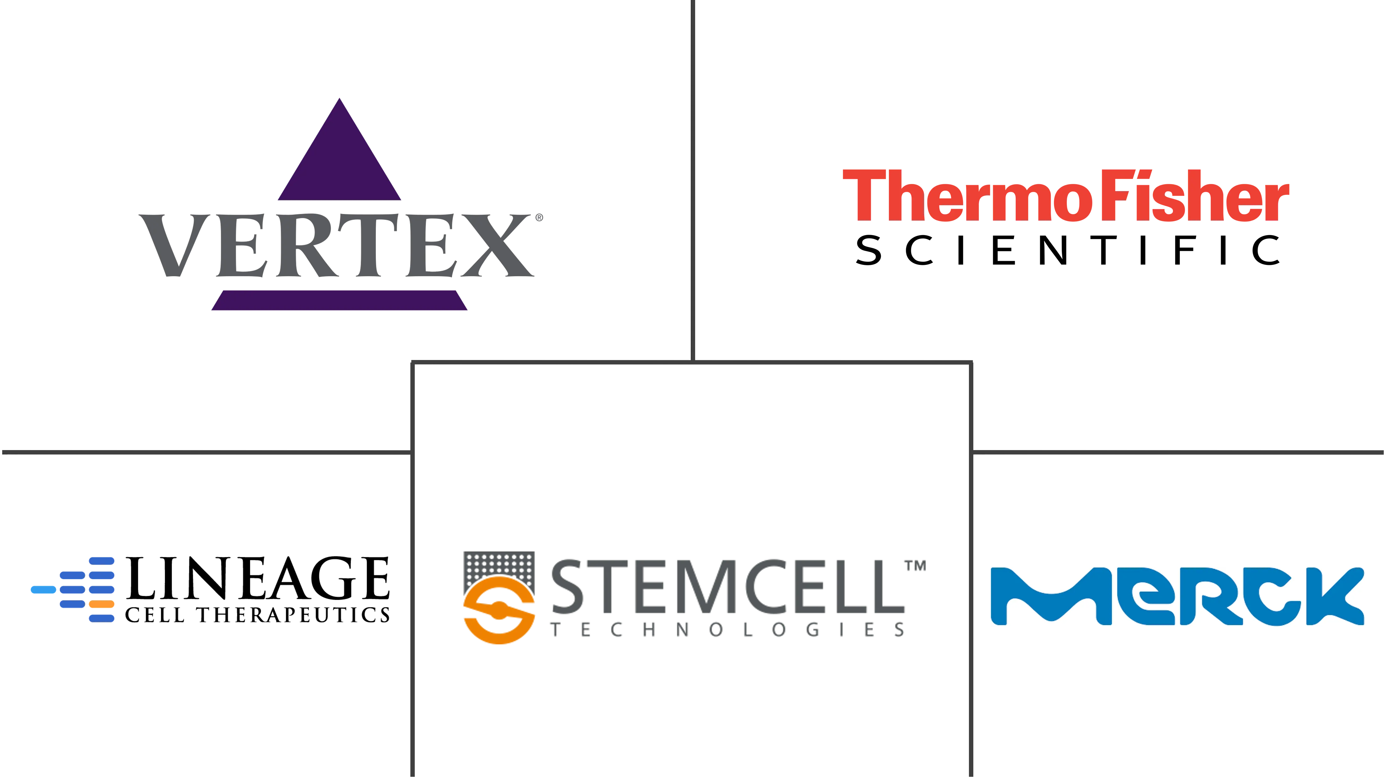 人类胚胎干细胞市场规模和份额