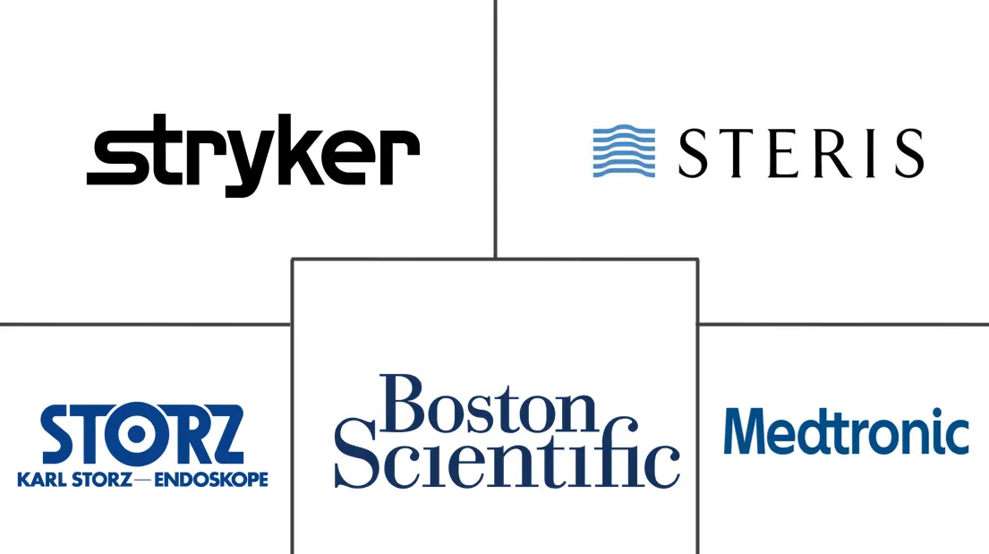 非洲内窥镜设备市场规模