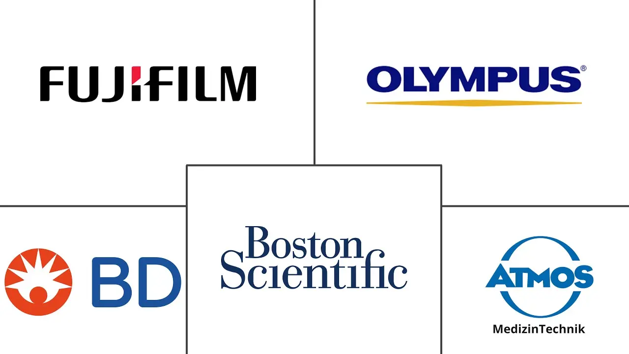 柔性内窥镜市场规模