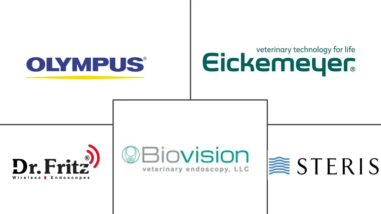 兽医内窥镜市场规模和份额