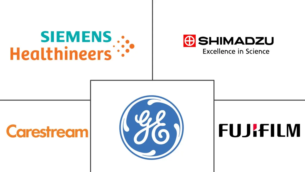 意大利数字X射线市场规模