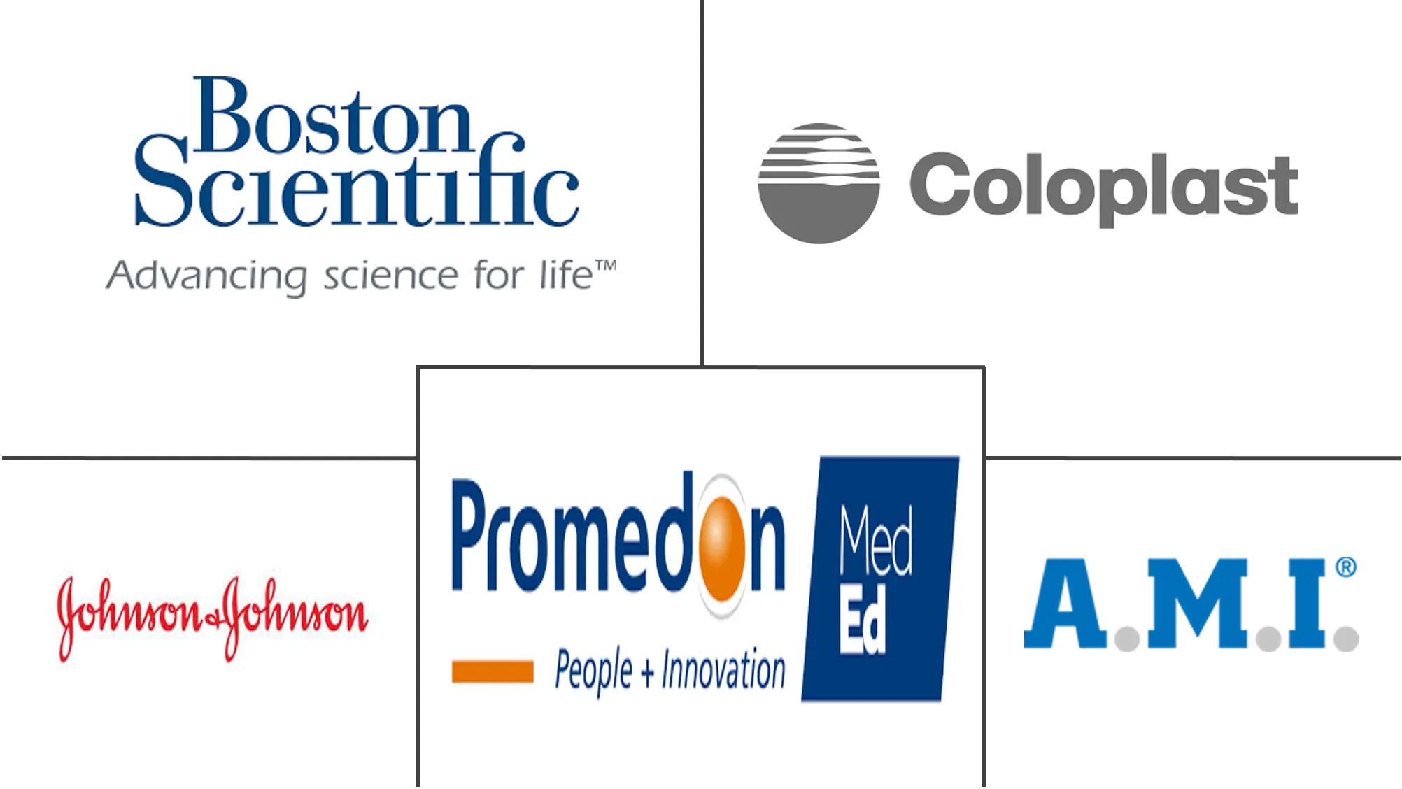 阴道吊带市场规模和份额