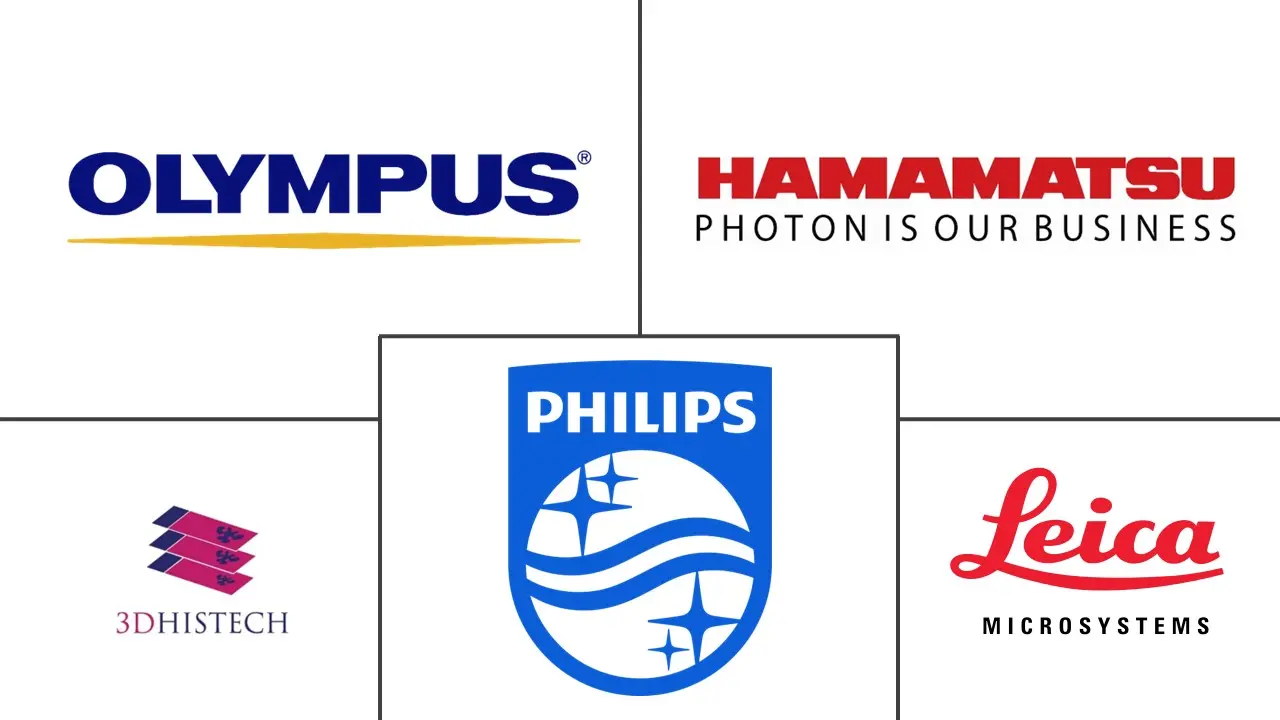 整个幻灯片成像市场规模和份额