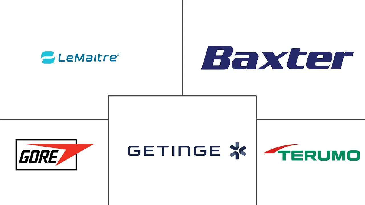 血管贴片市场规模和份额