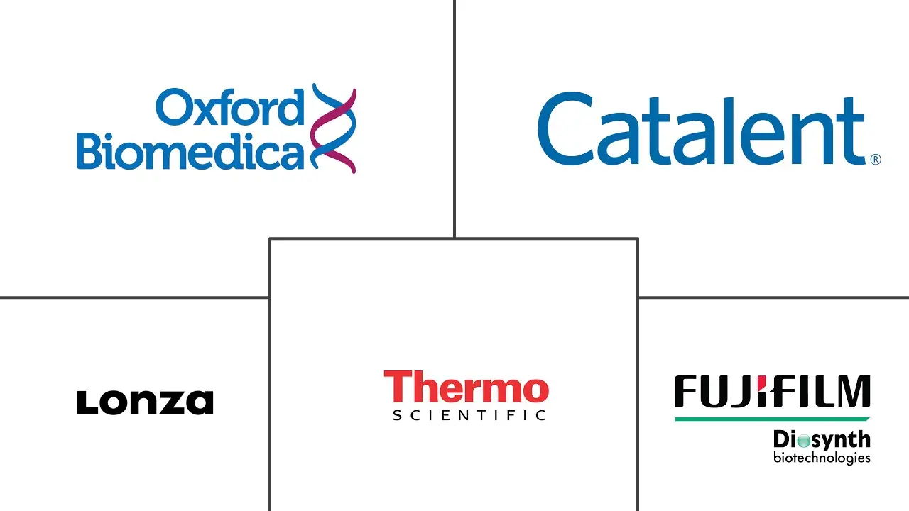 病毒载体和质粒 DNA 制造市场规模和份额