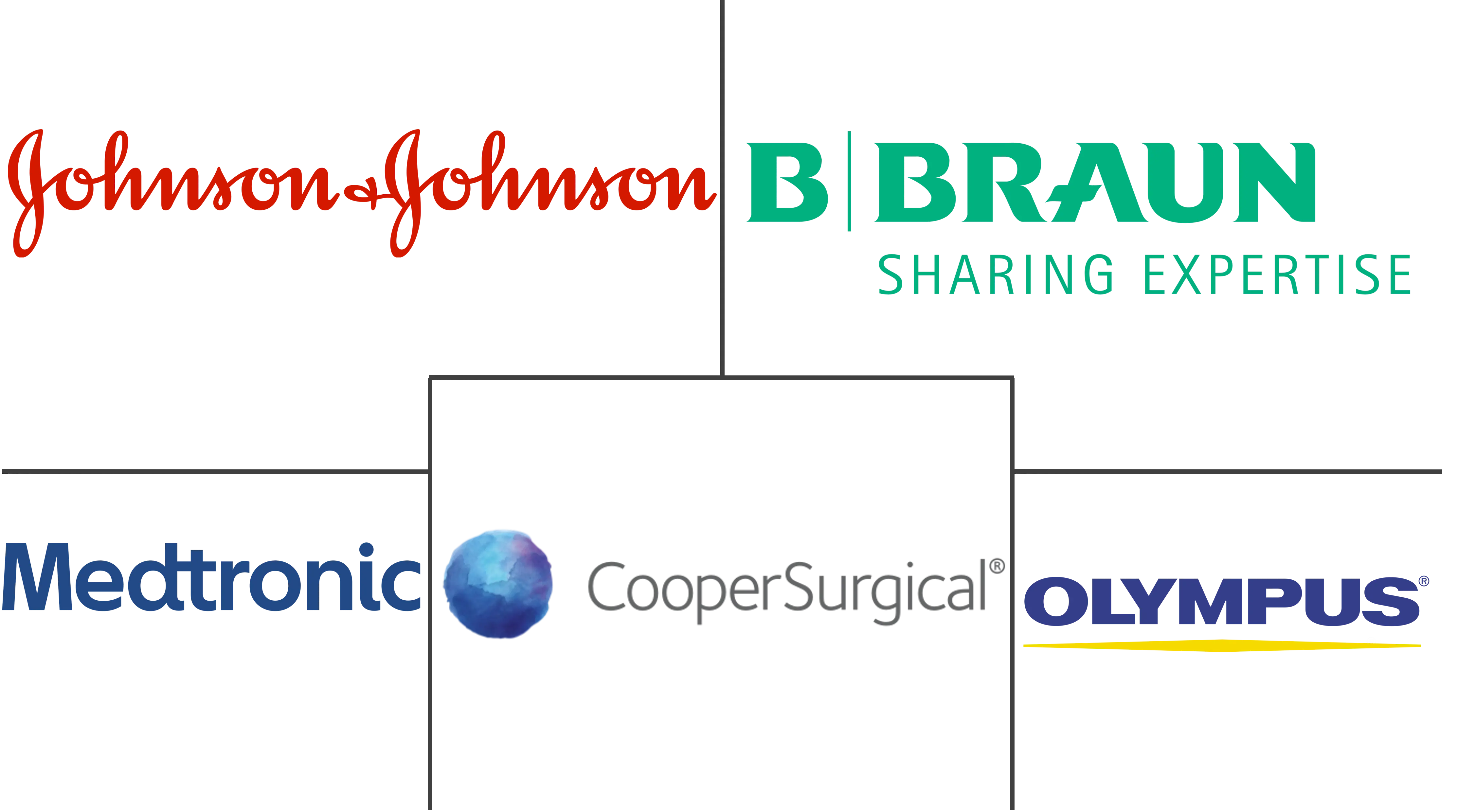 北美减肥手术市场规模和份额分析