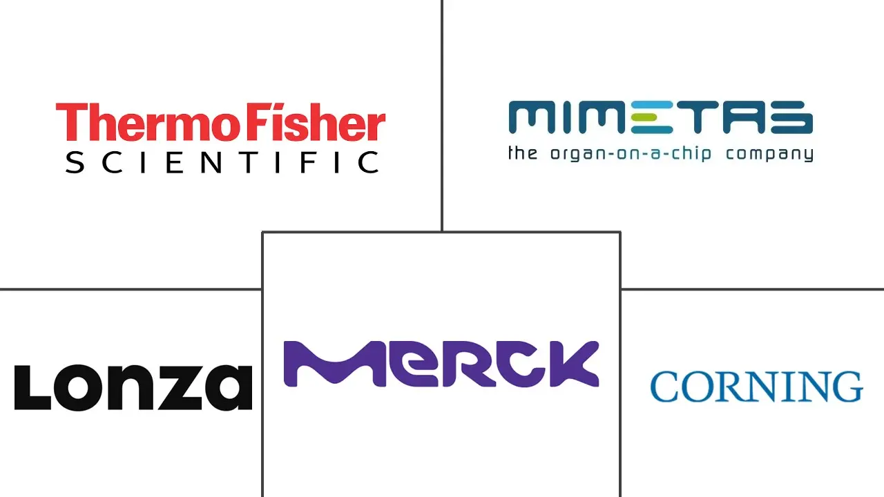 3D 细胞培养市场规模和份额