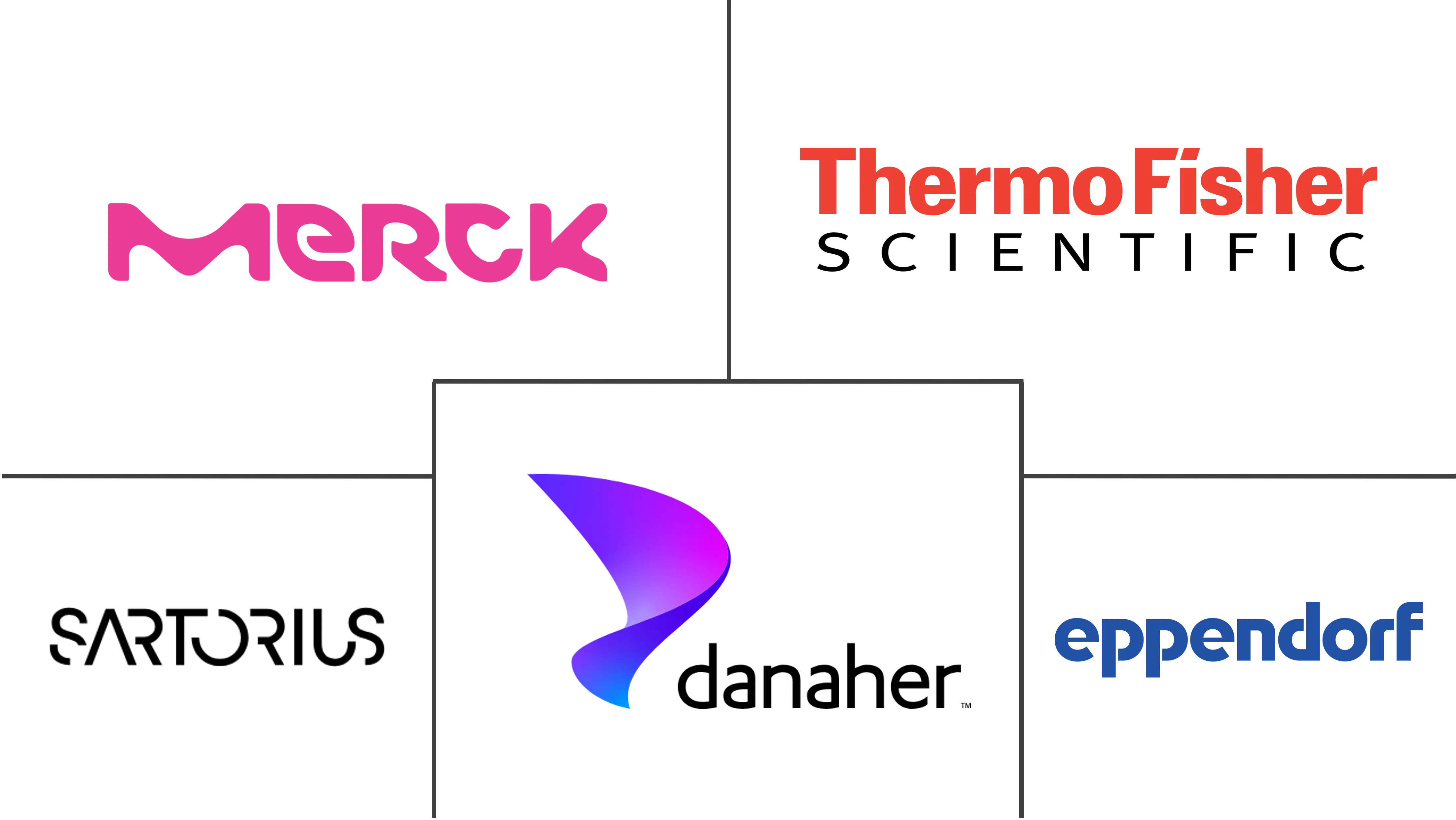 一次性生物加工市场规模和份额