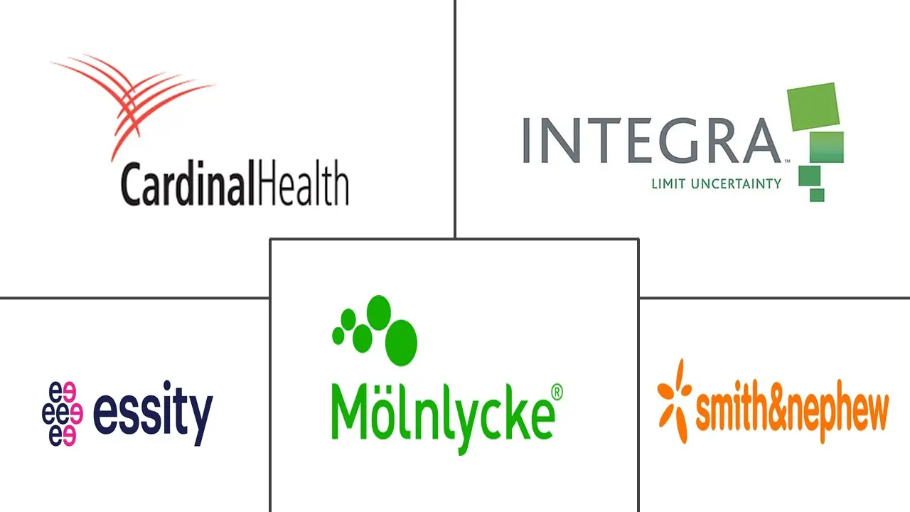 压疮治疗市场规模和份额