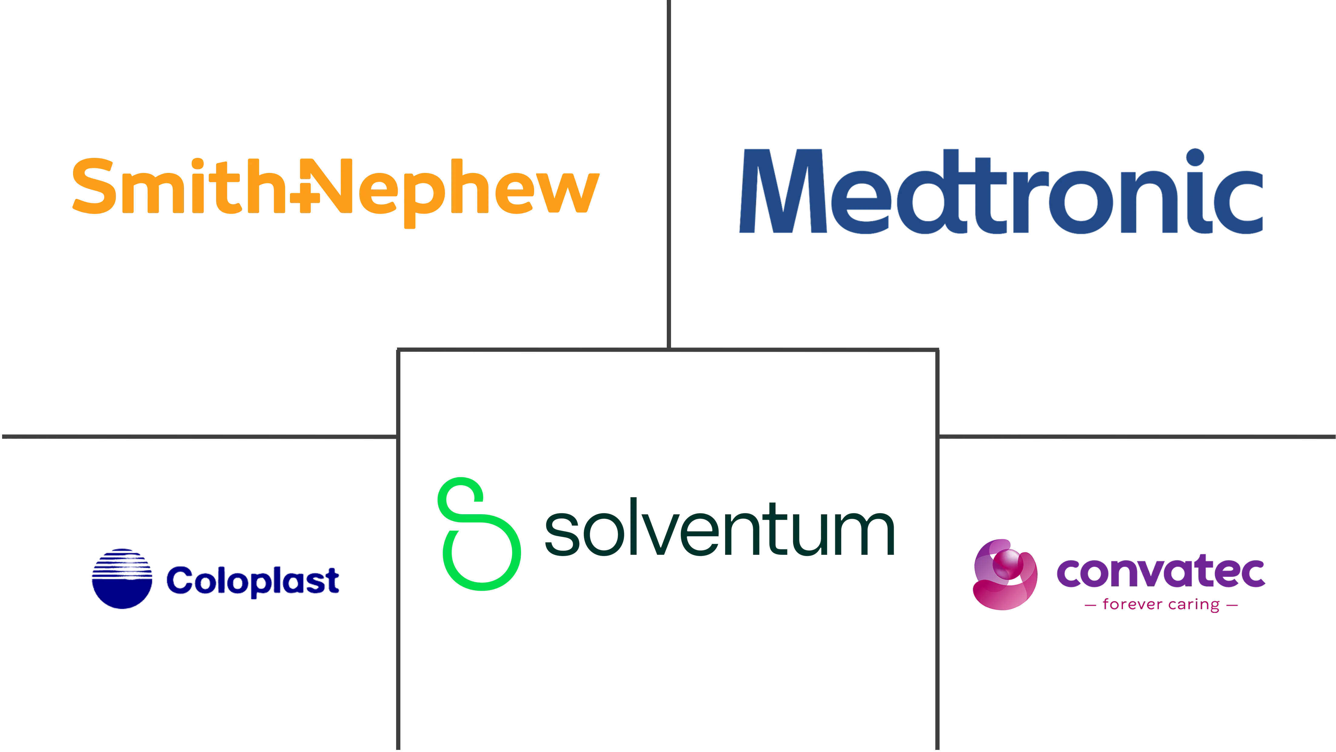 法国伤口护理管理设备市场规模和份额