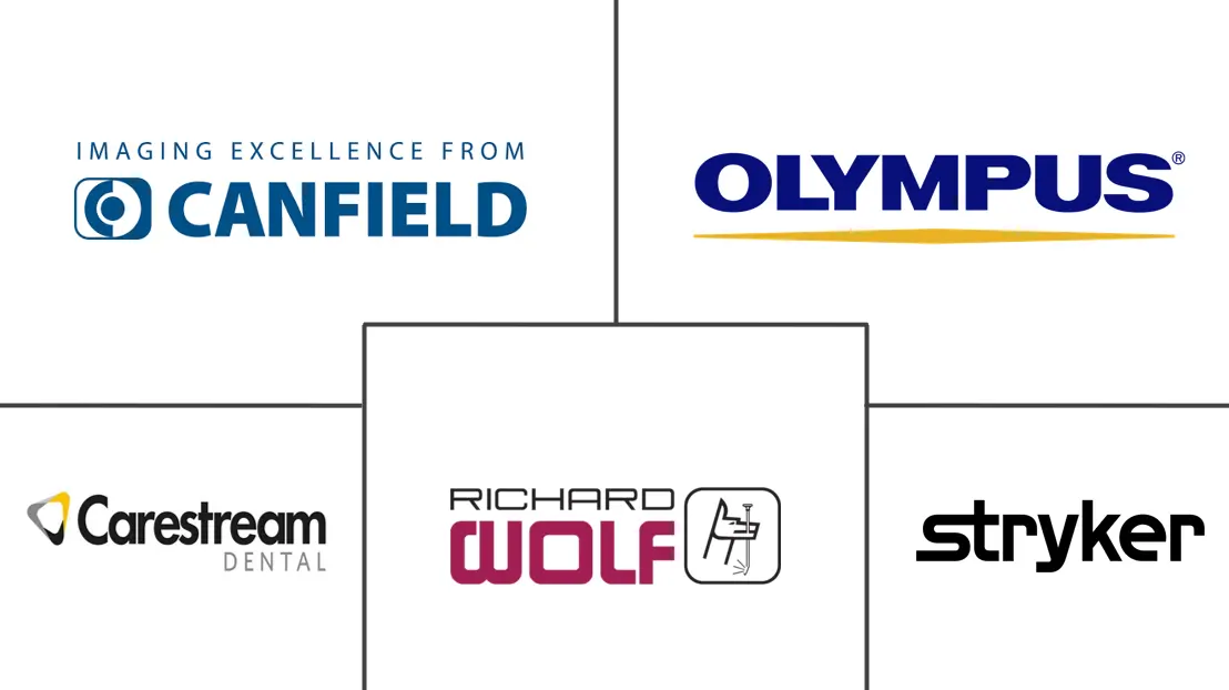 医疗相机市场规模和份额