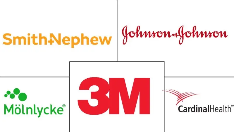 烧伤护理市场规模和份额