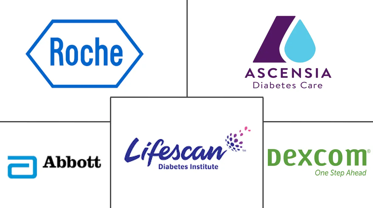 英国血糖监测市场规模和份额分析