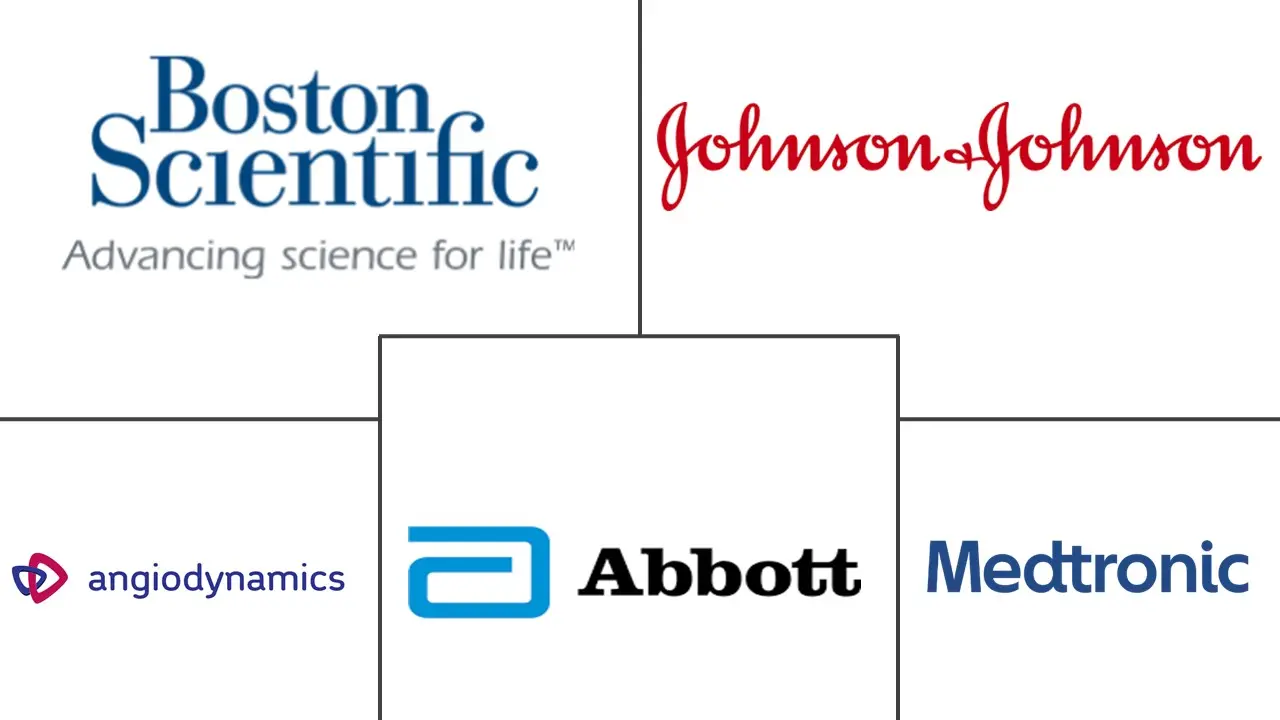 北美消融技术市场规模