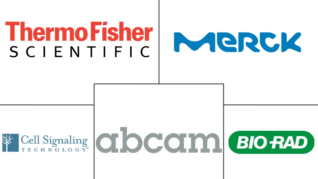 哺乳动物多克隆 IgG 抗体市场规模
