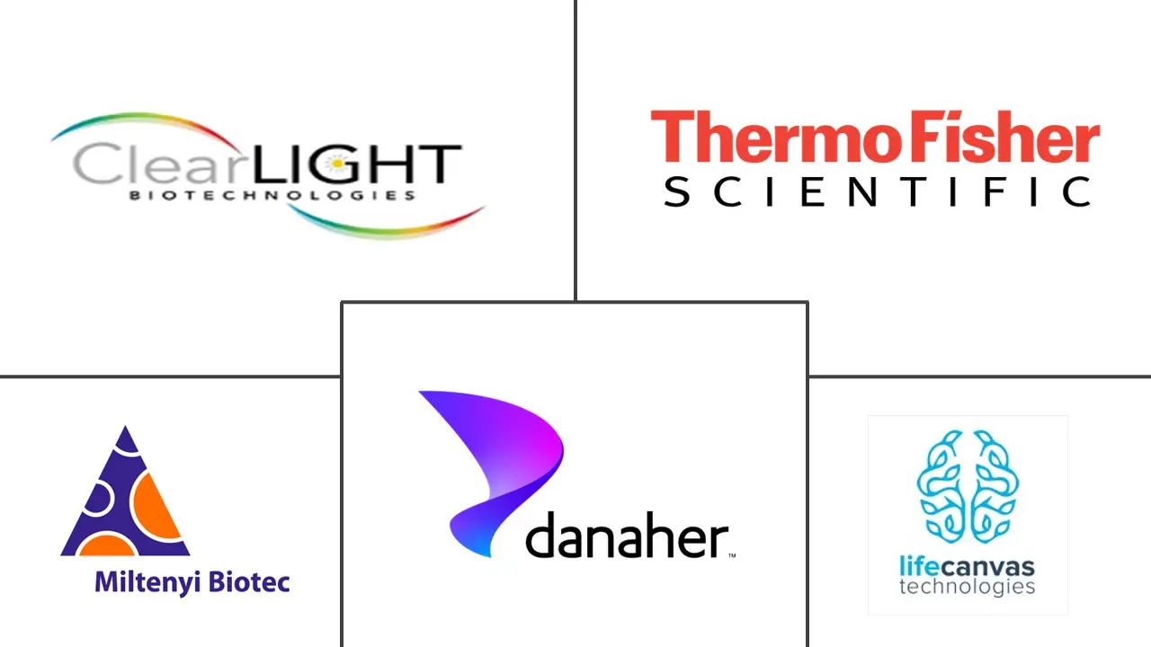 组织清算市场规模和份额
