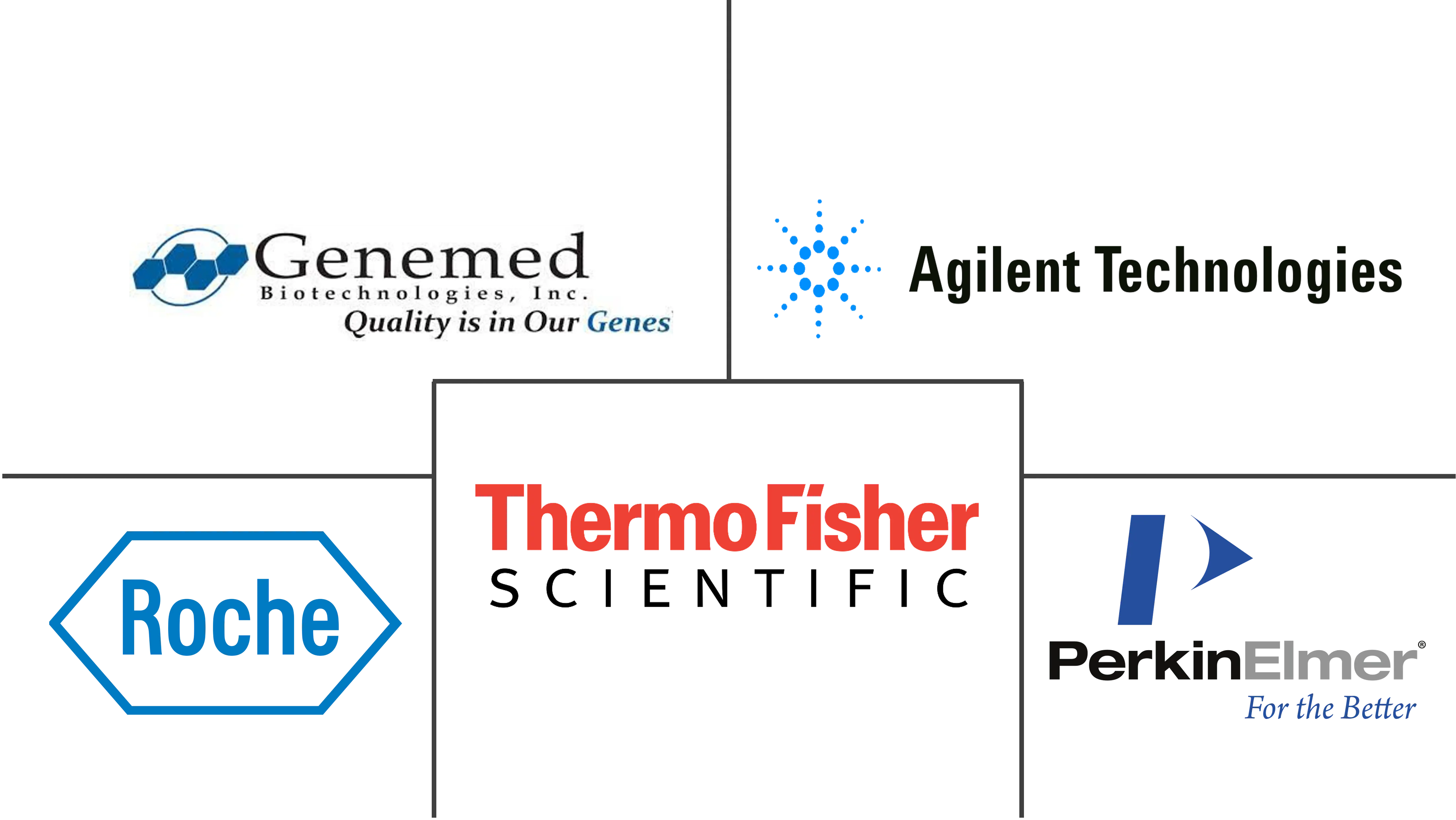 荧光原位杂交市场规模和份额