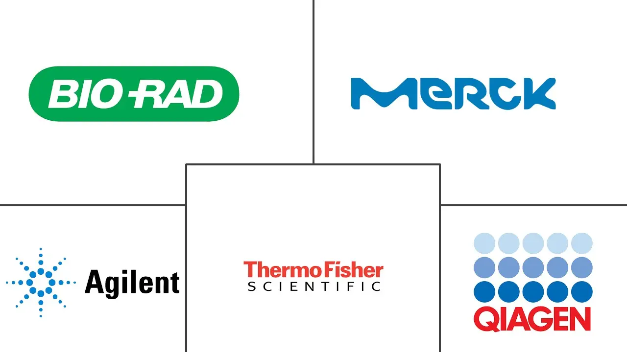 电泳试剂市场规模及份额
