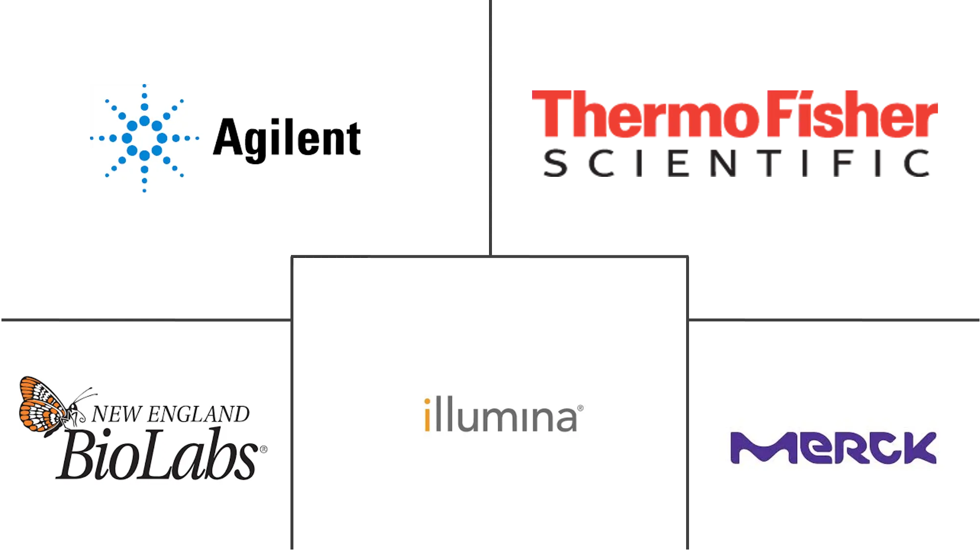 限制性核酸内切酶市场规模