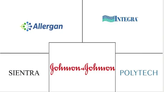 乳房固定术市场规模