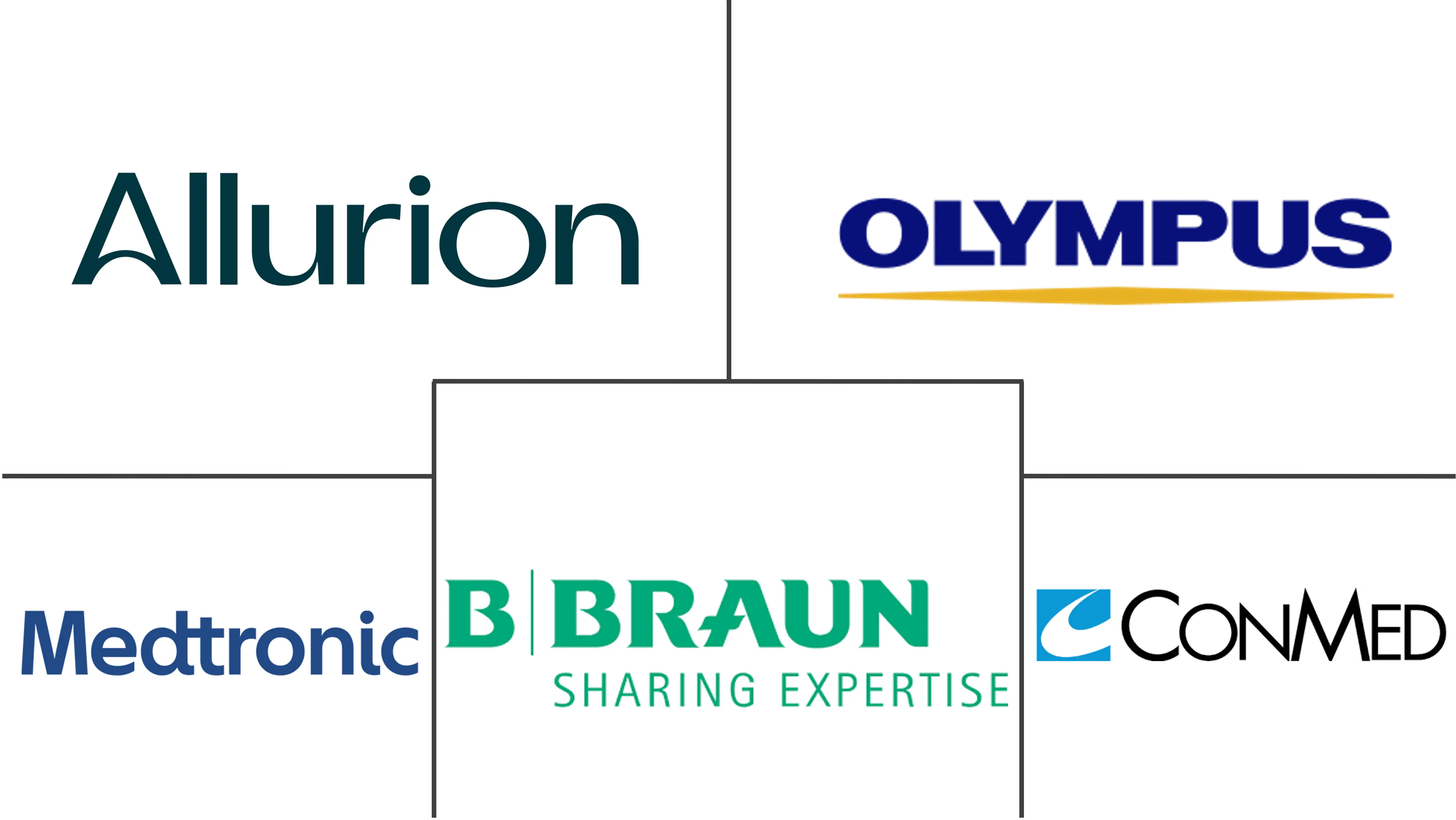 意大利减肥手术市场规模