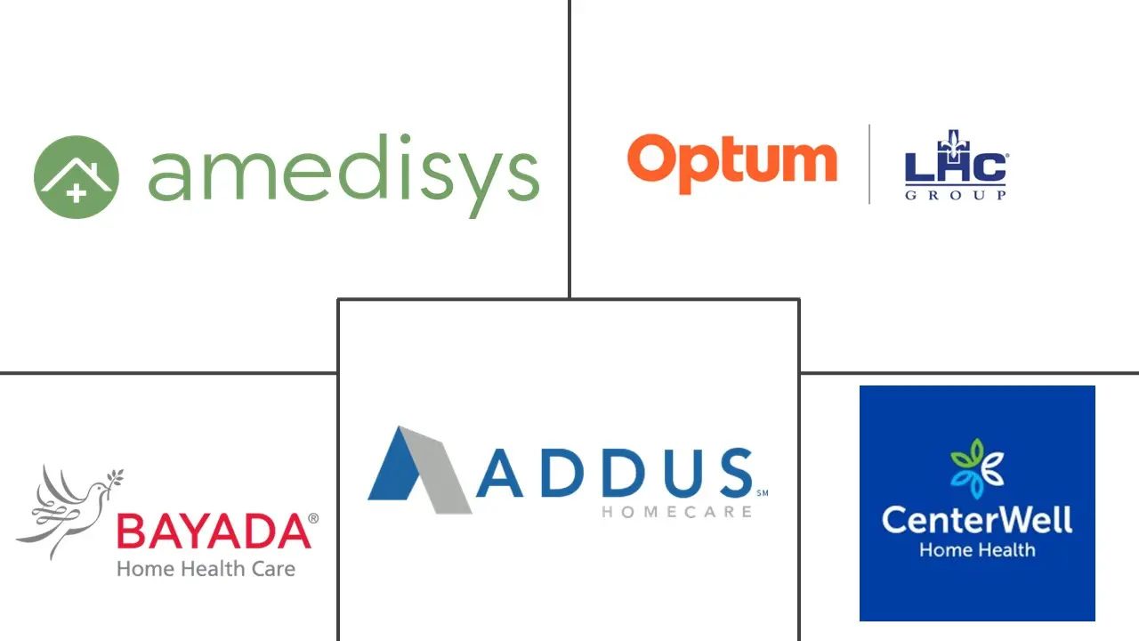 家庭护理市场规模和份额