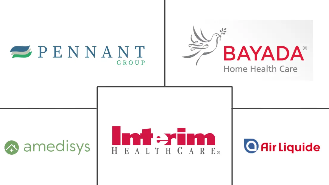 家庭护理服务市场规模