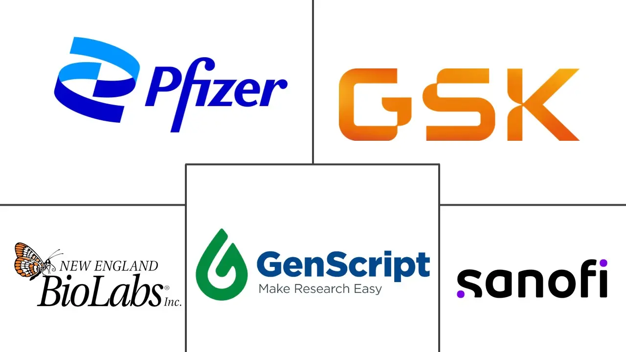 重组 DNA (rDNA) 技术市场规模和份额