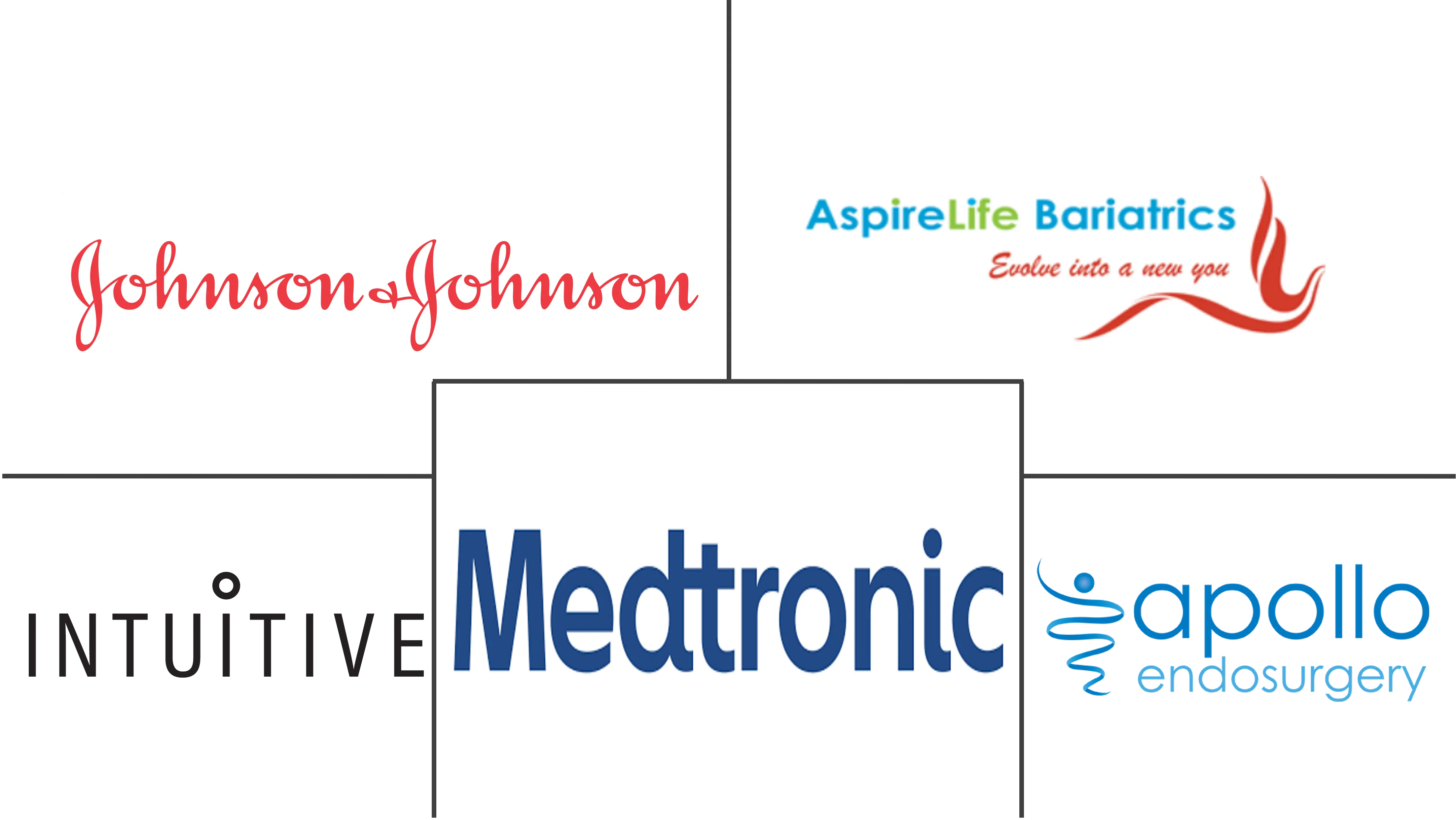 南非减肥手术市场规模