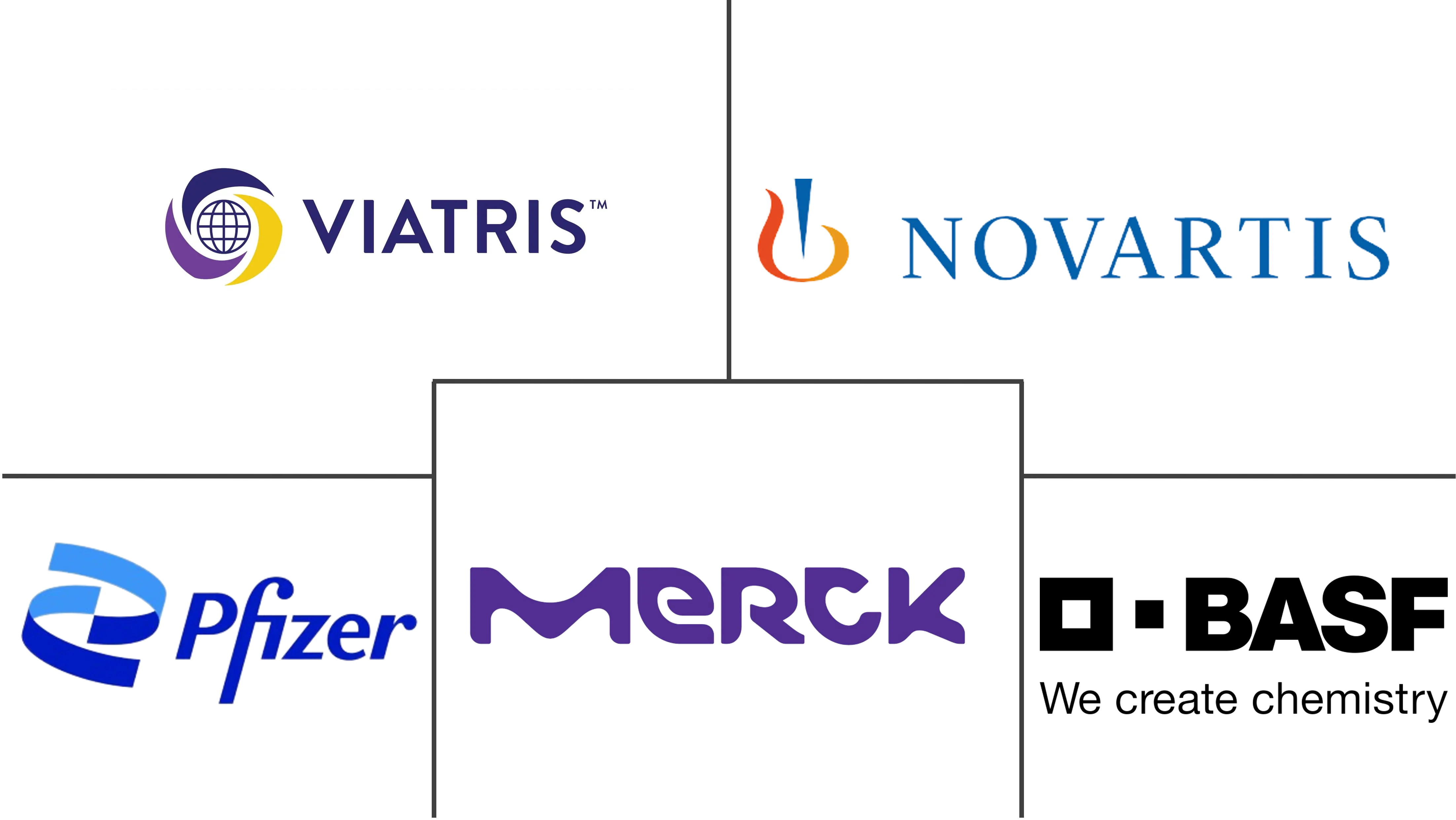 法国活性药物成分 (API) 市场规模和份额分析