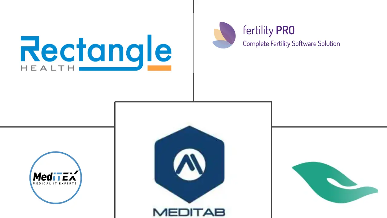 生育电子病历软件市场规模