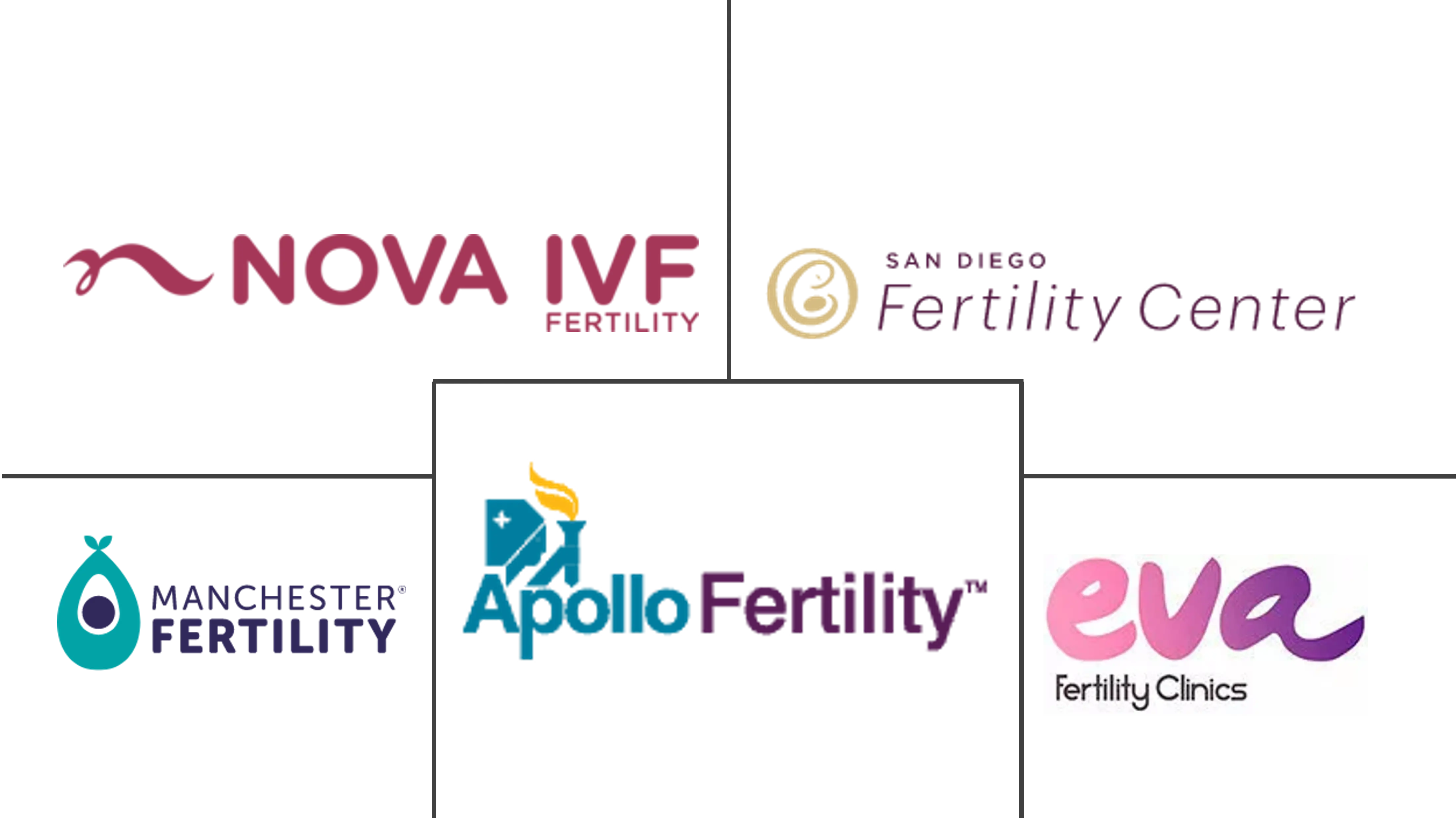 生育旅游市场规模