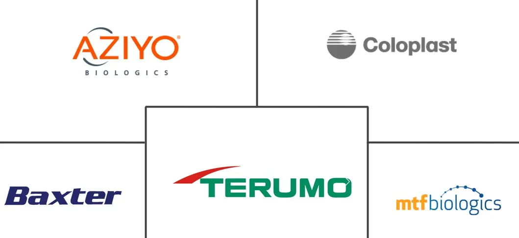 细胞外基质贴片市场规模