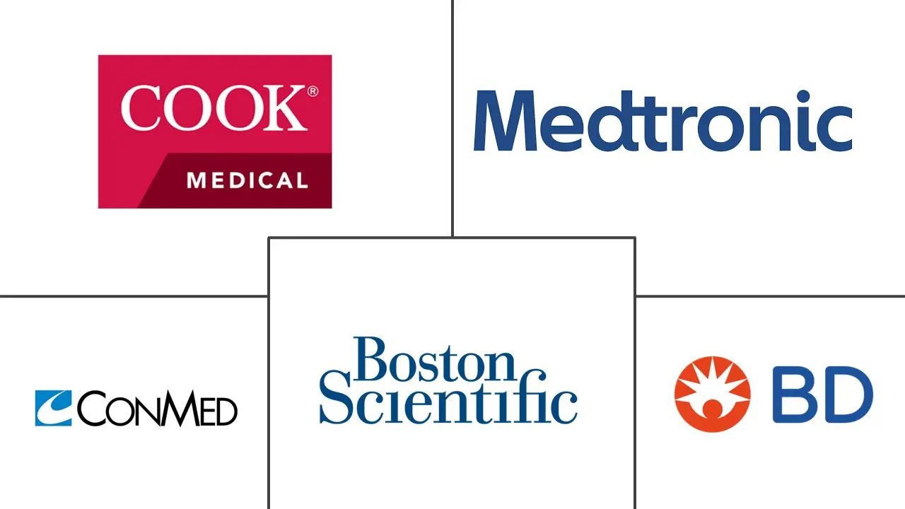 非血管支架市场规模和份额