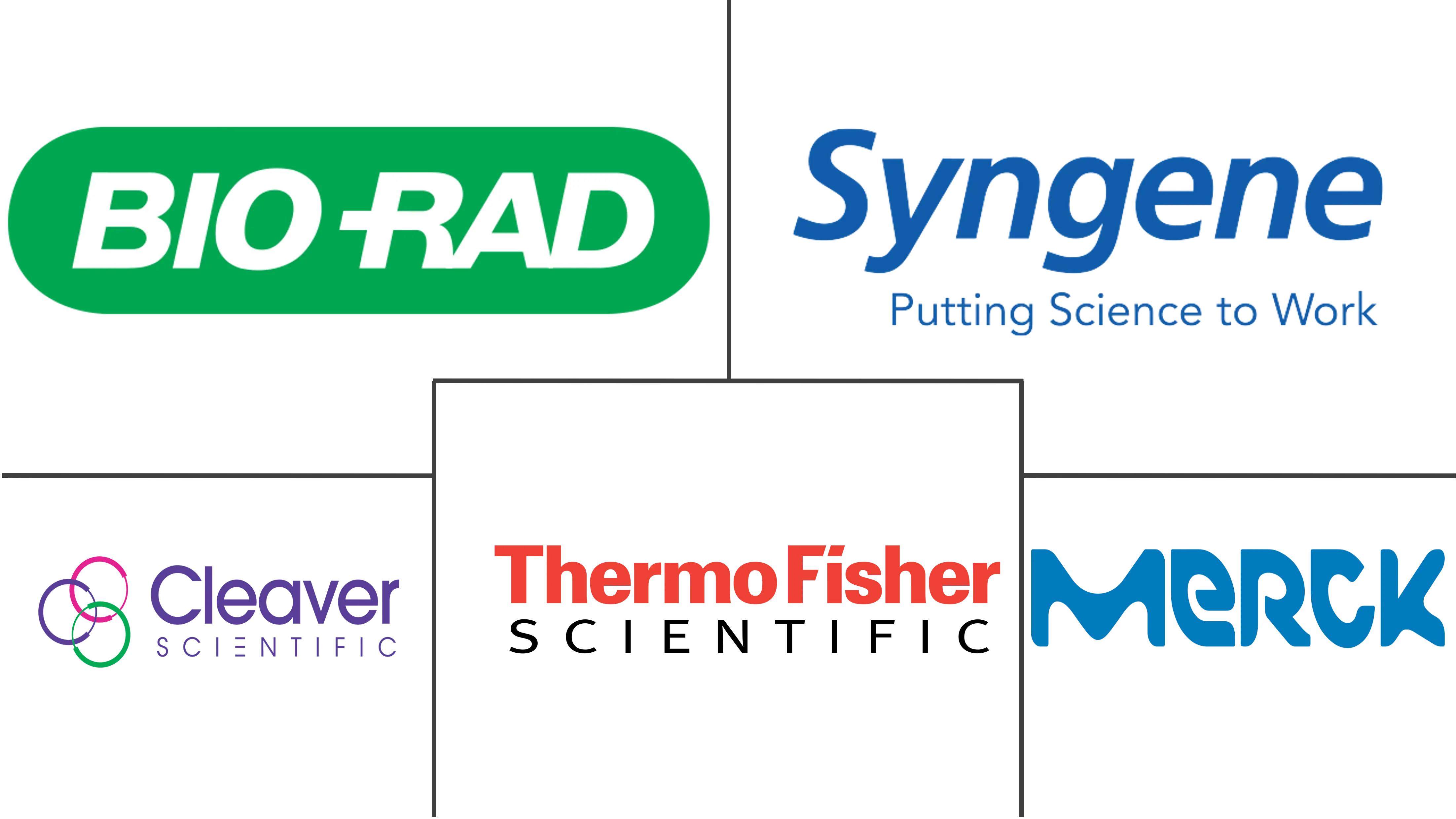 凝胶记录系统市场规模