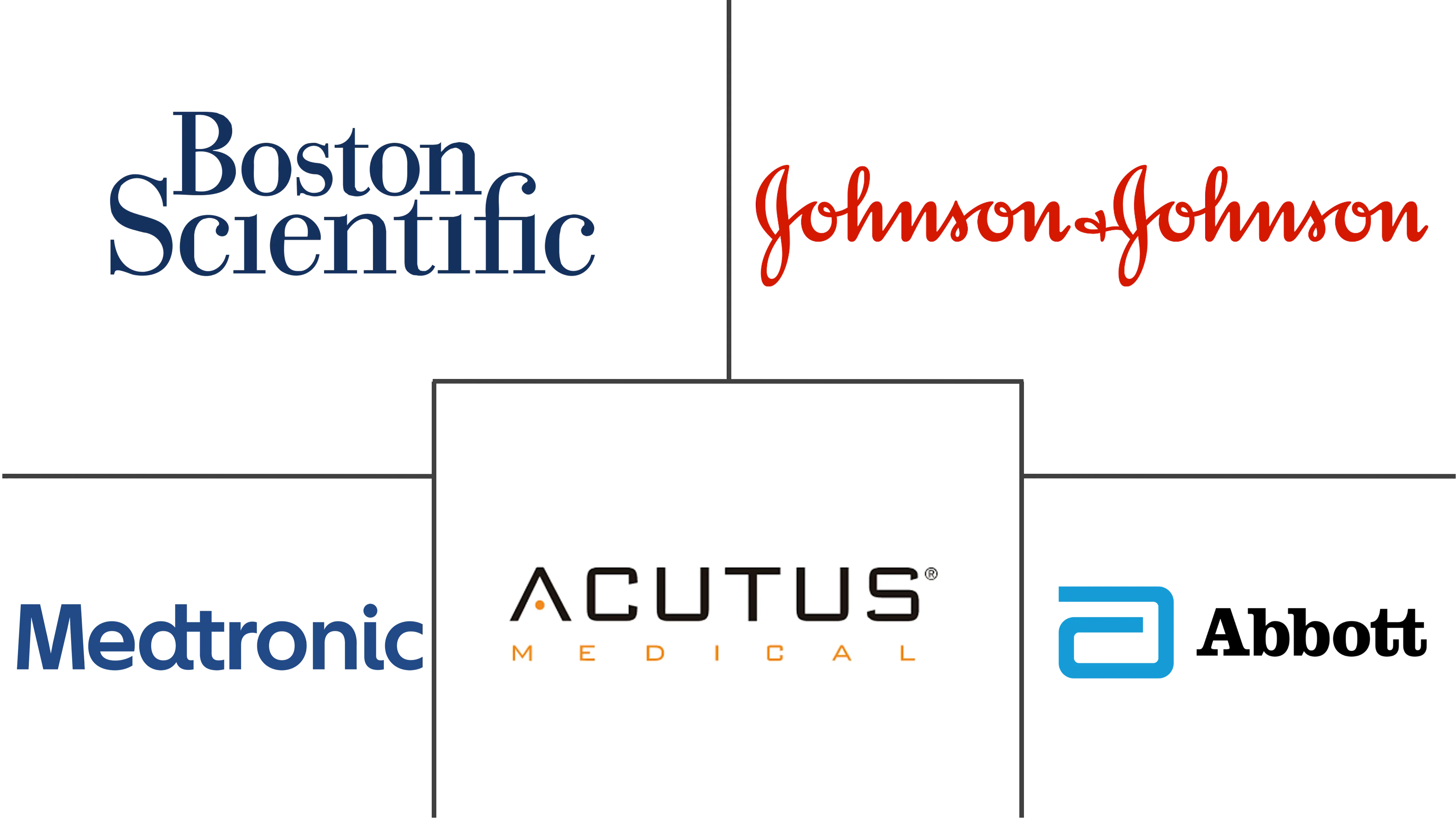 心脏测绘市场规模和份额