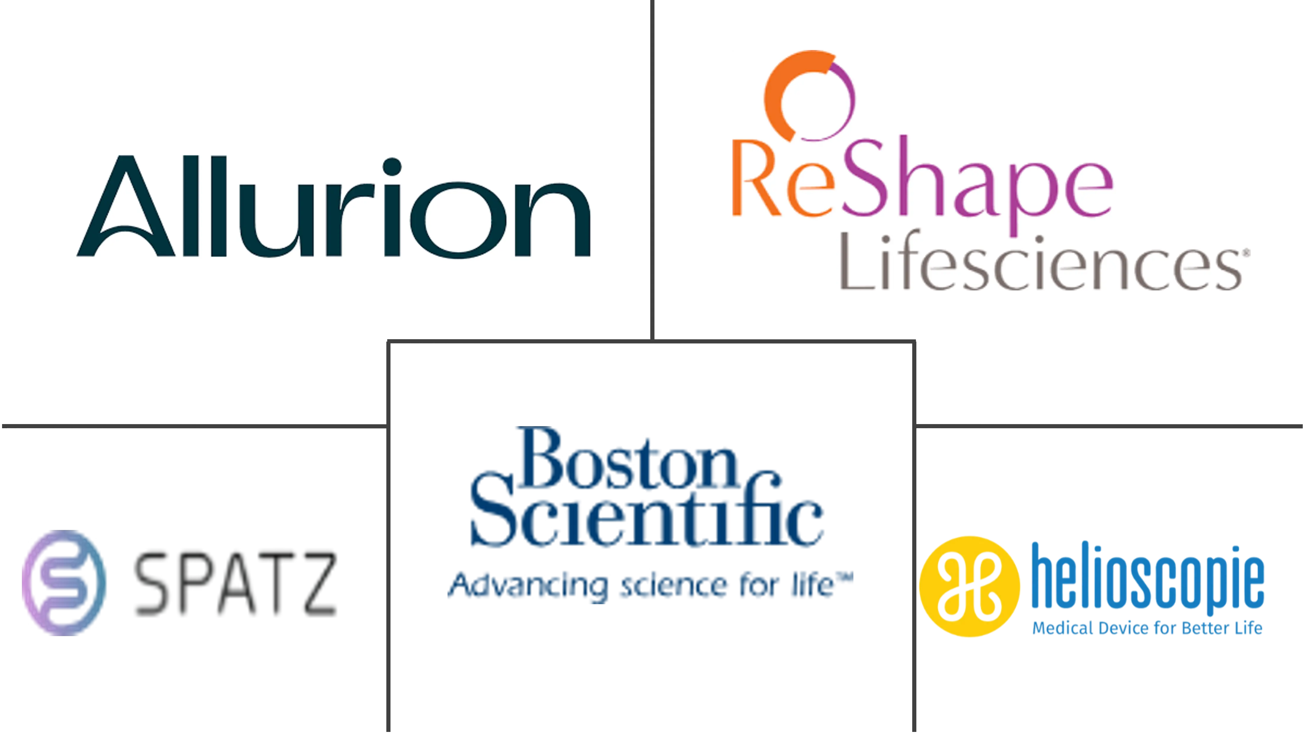 胃气球市场规模和份额