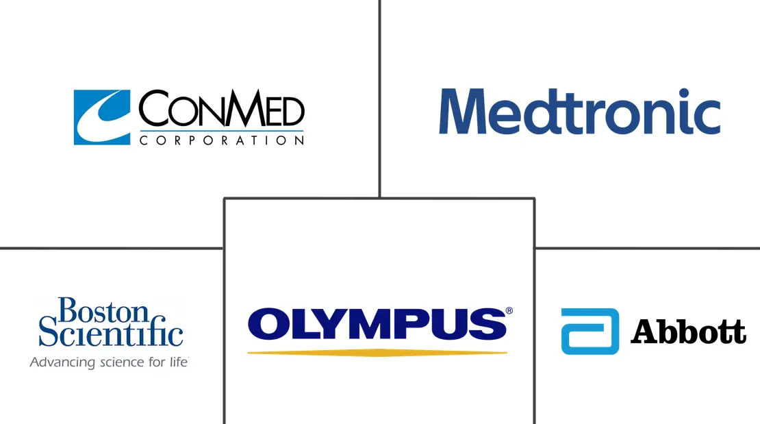 胰腺和胆管支架市场规模