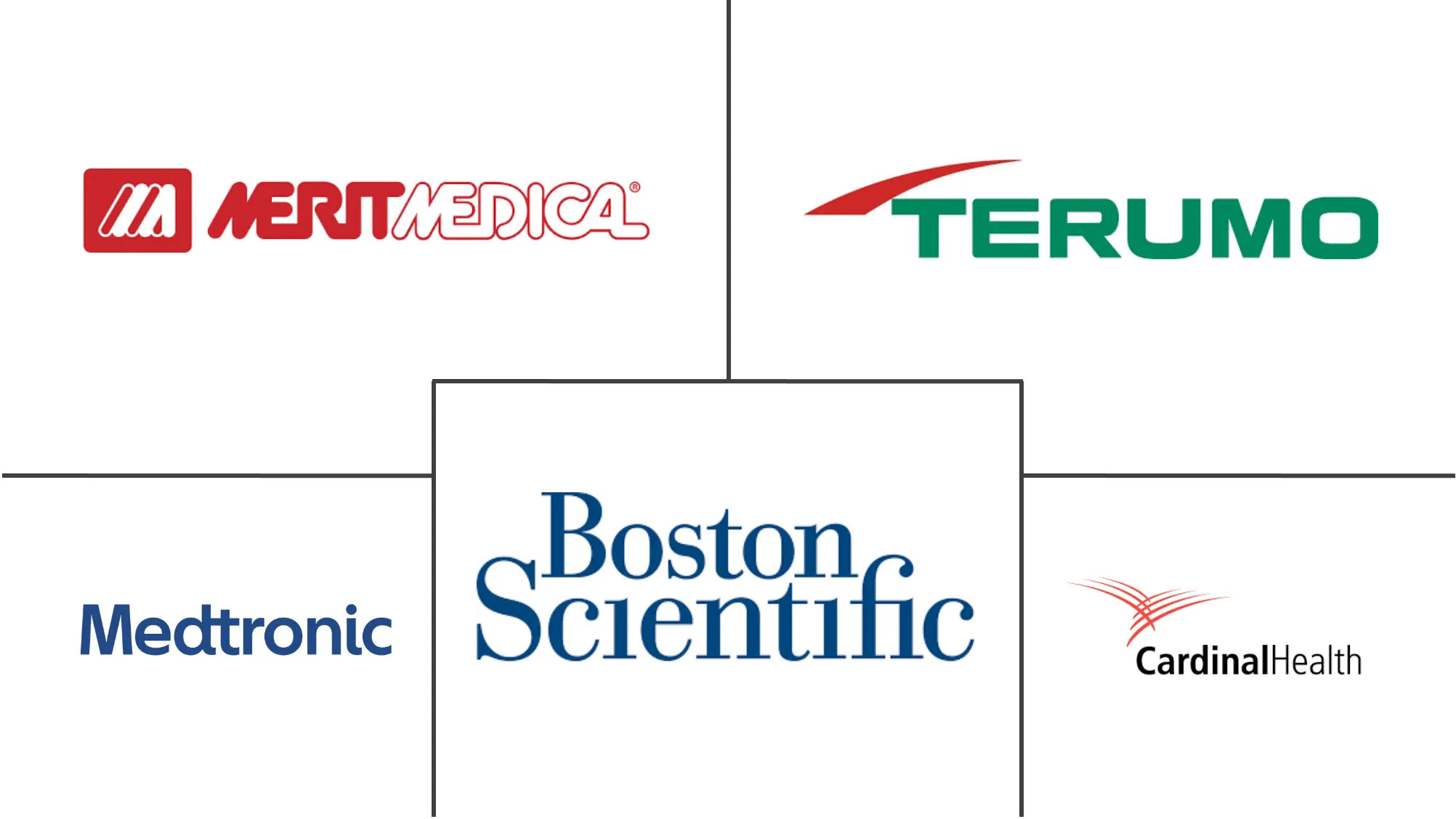 微导导管市场规模及份额