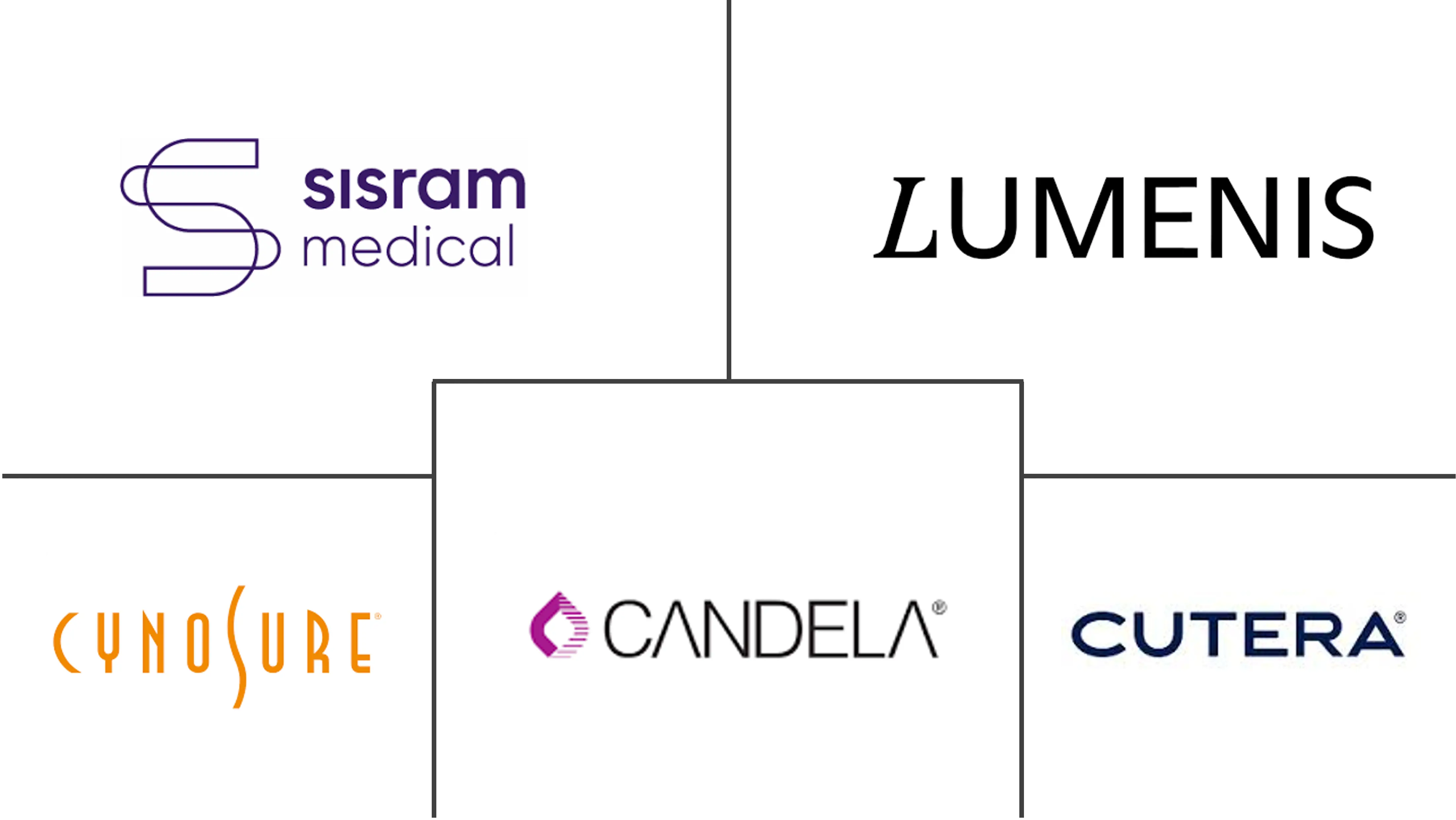 能量美容设备市场规模