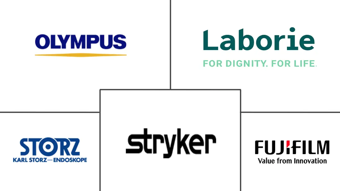 手术可视化系统市场规模